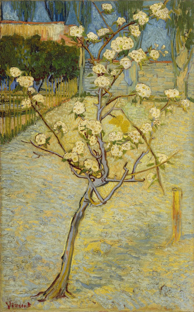 Virágzó körtefa alkotó: Vincent van Gogh
