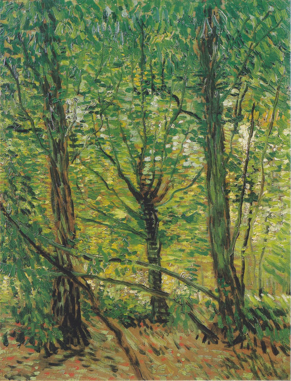 Fák és aljnövényzet alkotó: Vincent van Gogh