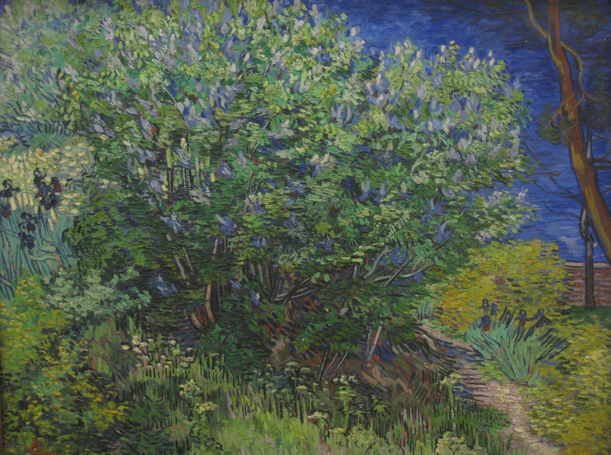 Bokor alkotó: Vincent van Gogh