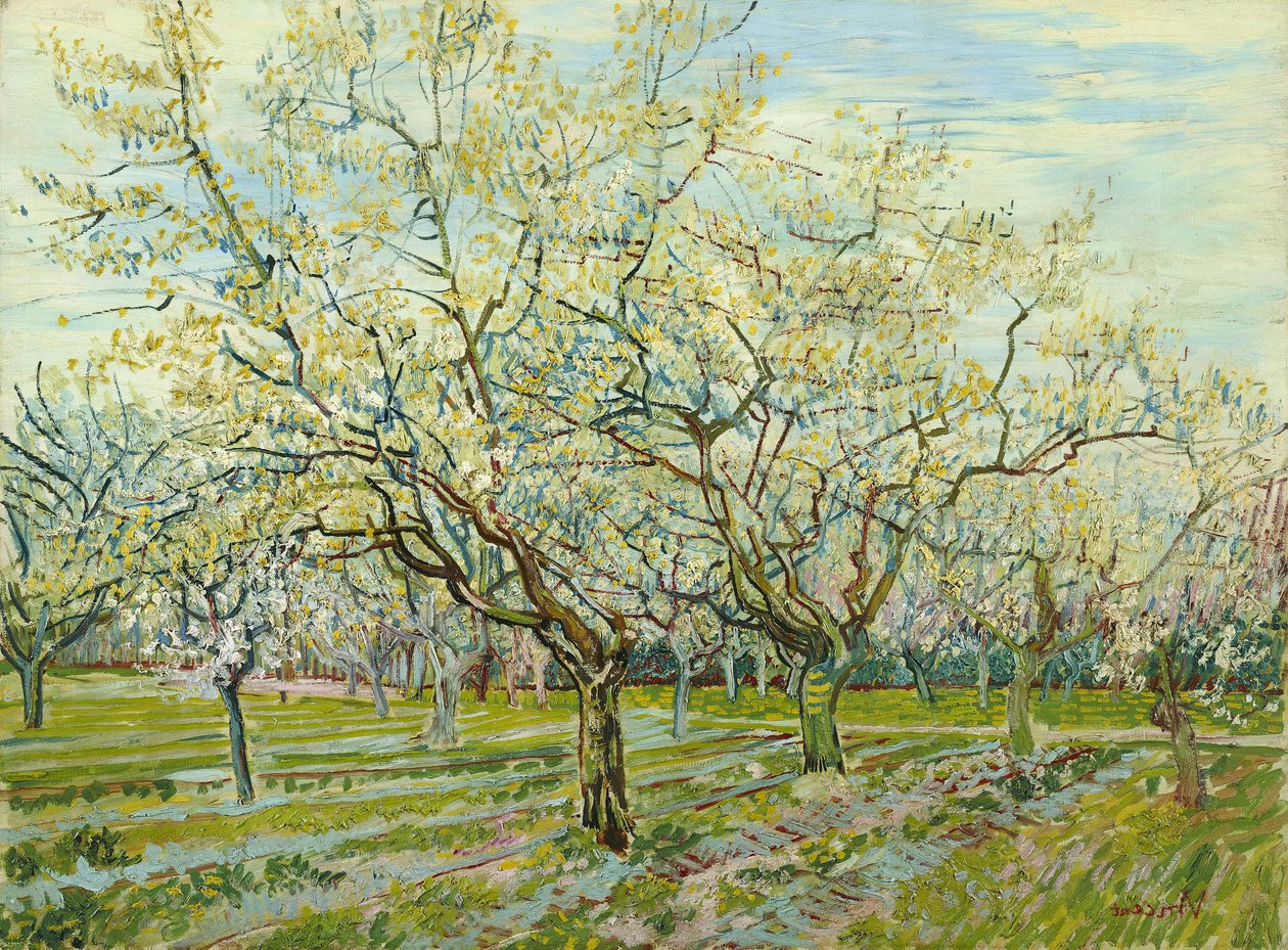 A fehér gyümölcsös alkotó: Vincent van Gogh