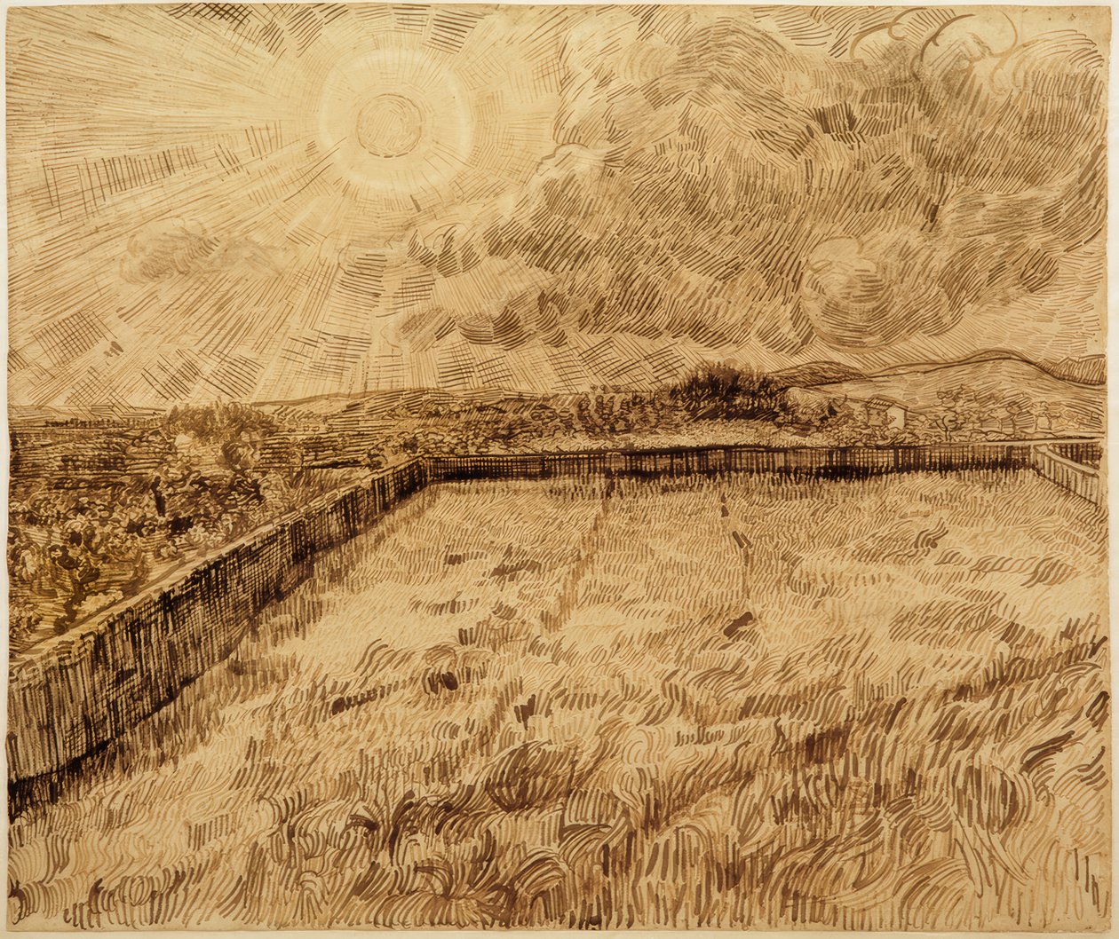 Mezők és olajfák alkotó: Vincent van Gogh