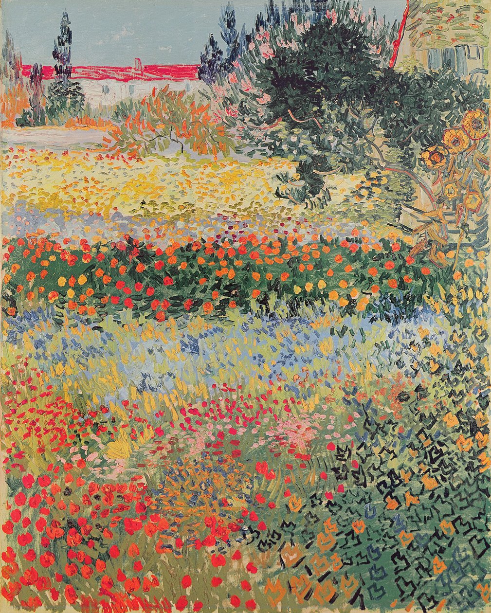 Garden in Bloom, Arles, 1888. július alkotó: Vincent van Gogh