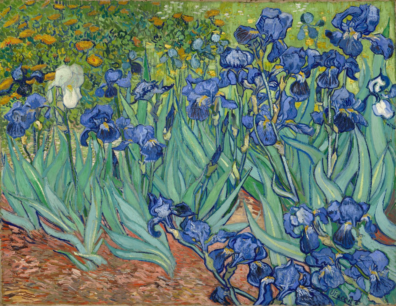 Írisz alkotó: Vincent van Gogh