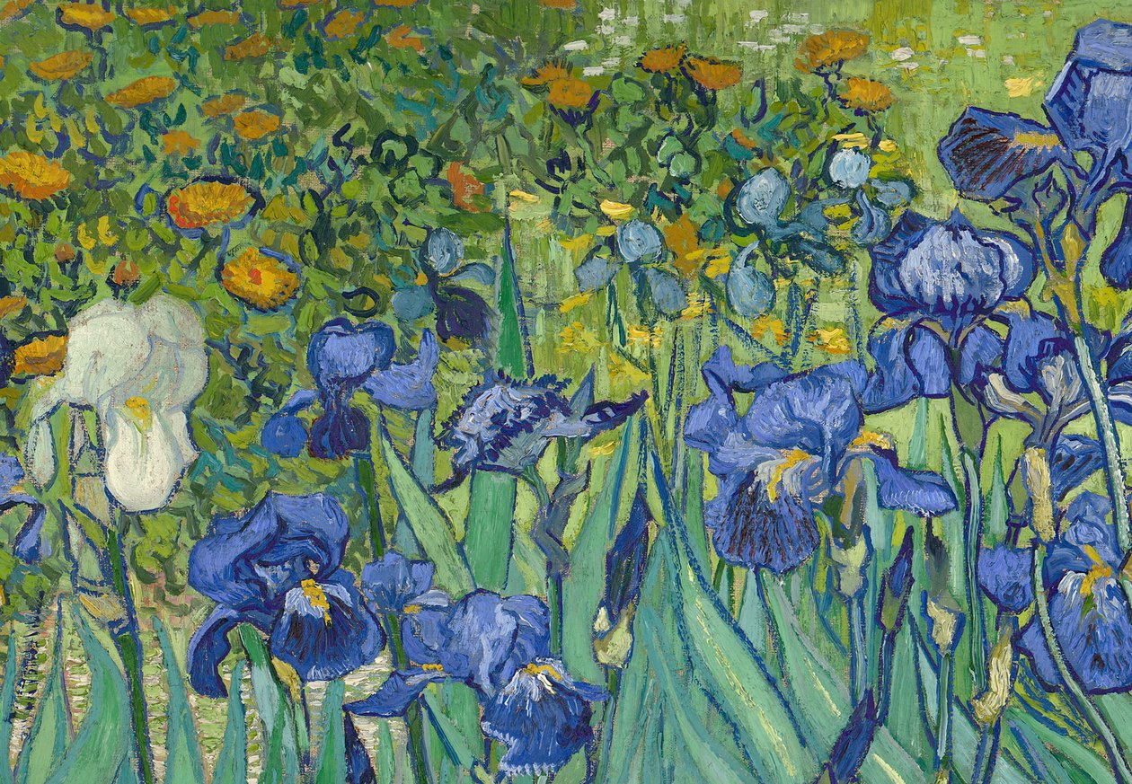 Íriszek, 1889 (a 40070 részlete) alkotó: Vincent van Gogh