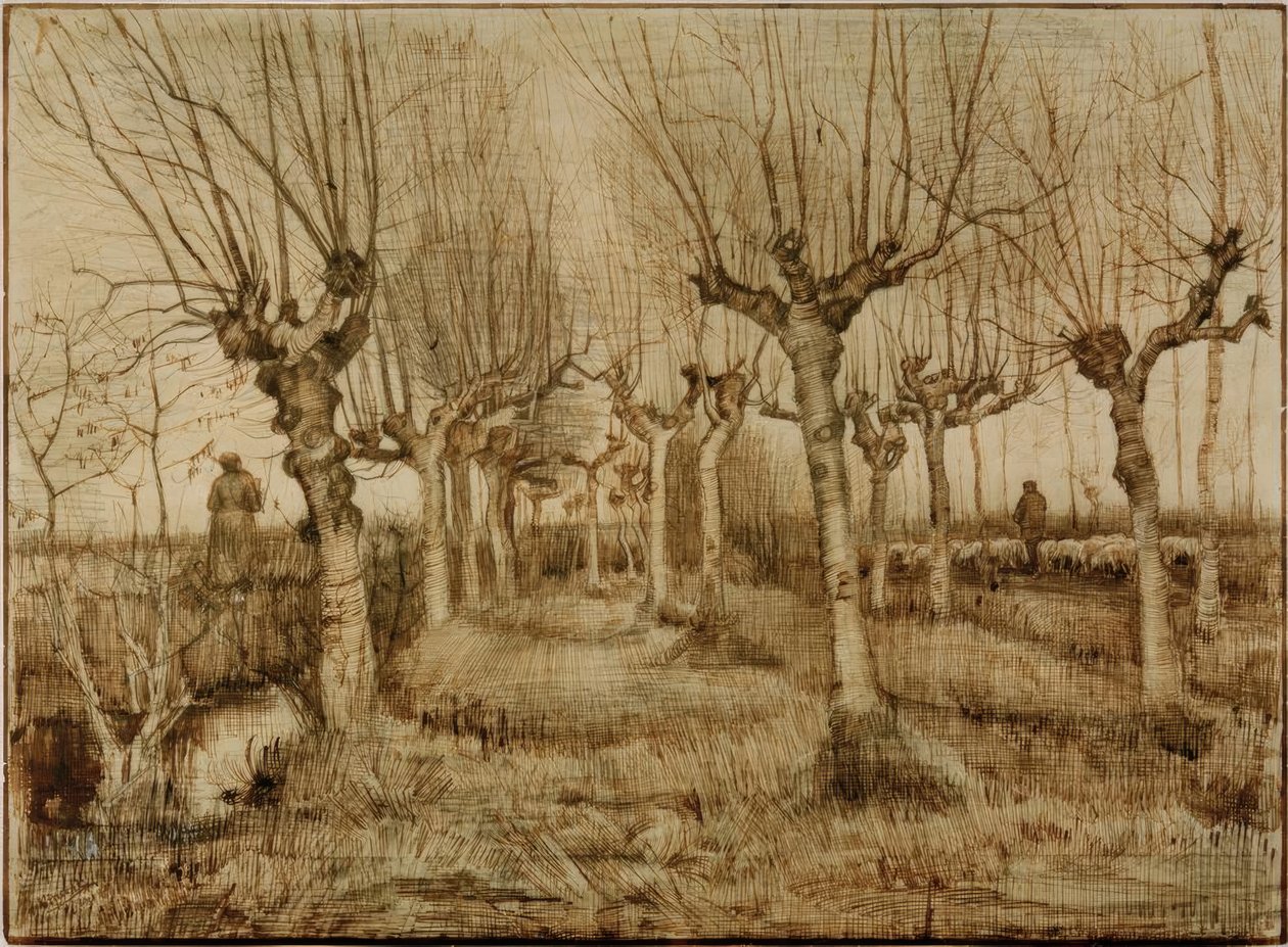 Pollared fűz alkotó: Vincent van Gogh