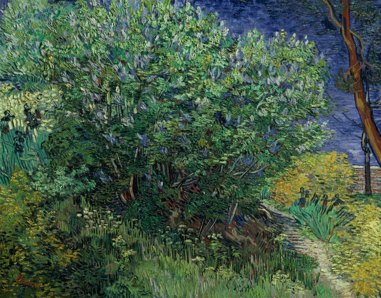 Orgonabokor, 1889 alkotó: Vincent van Gogh