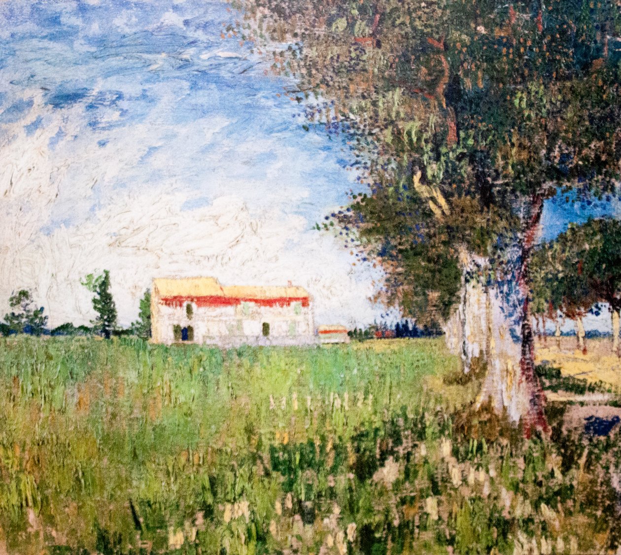 Az álmom alkotó: Vincent van Gogh