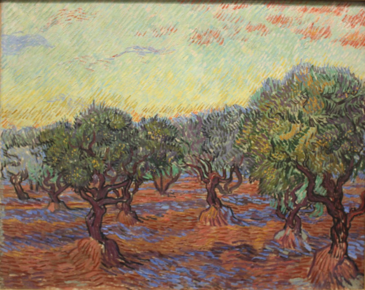 Olive Grove alkotó: Vincent van Gogh