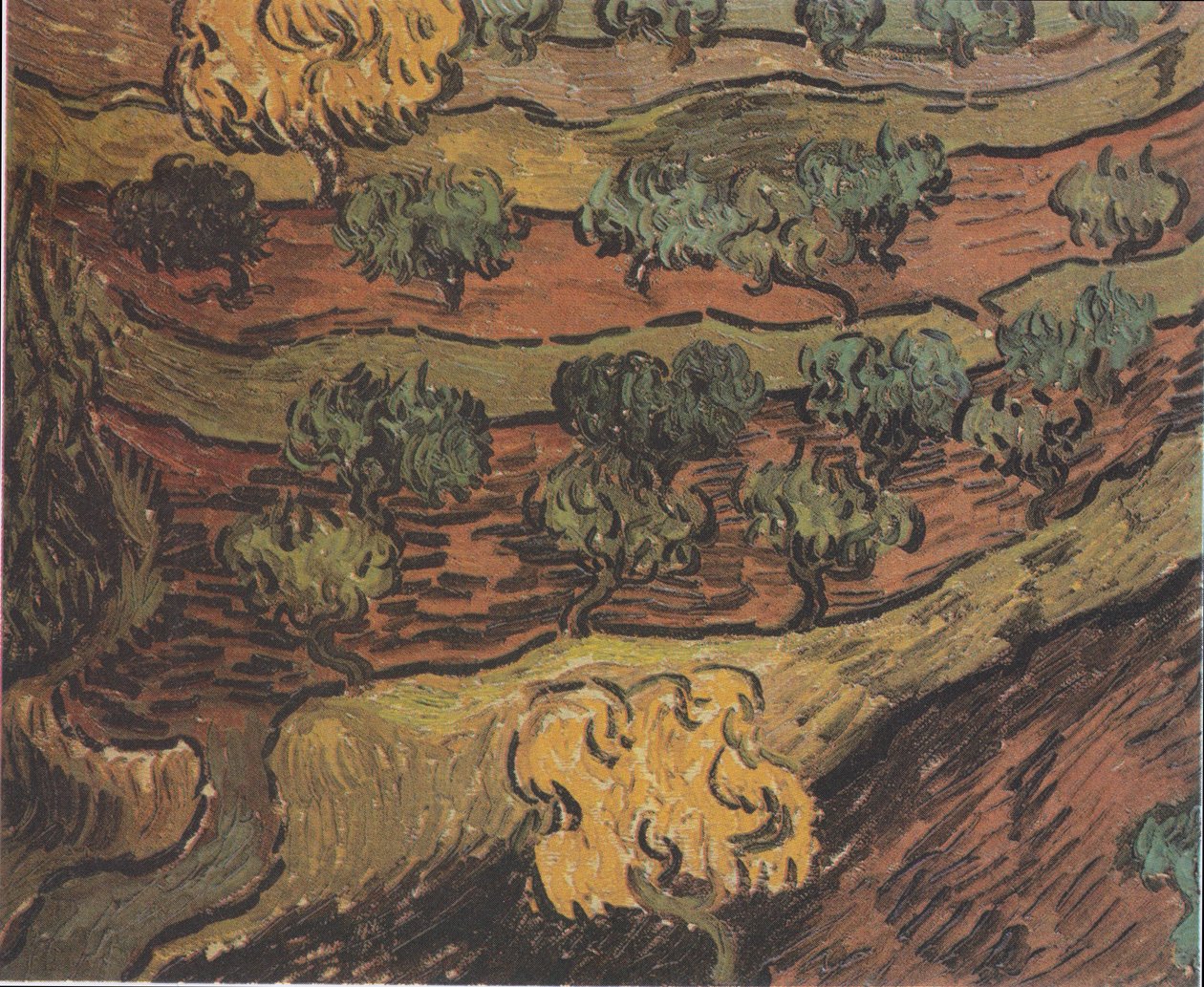 Olajfák a dombon alkotó: Vincent van Gogh