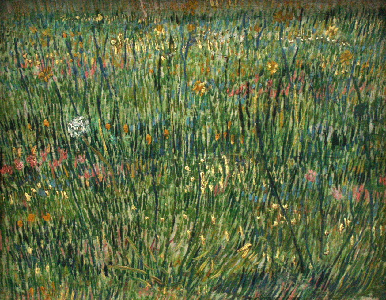 Fűfolt alkotó: Vincent van Gogh