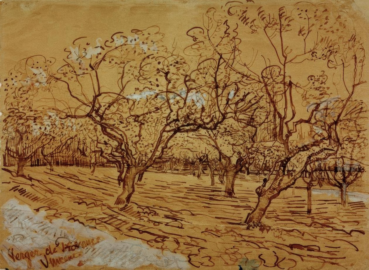 Provence-i gyümölcsöskert alkotó: Vincent van Gogh