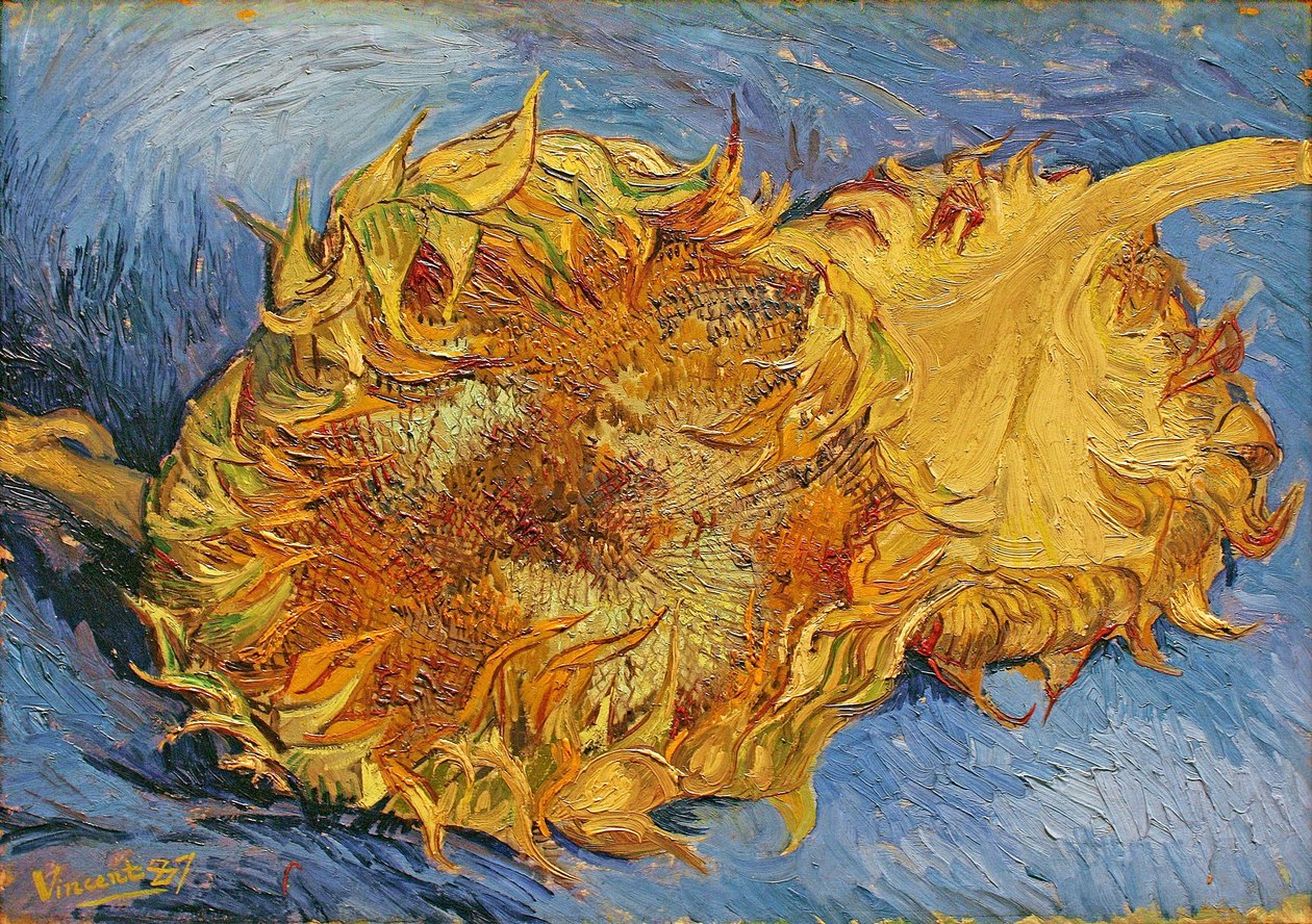 Két vágott napraforgó alkotó: Vincent van Gogh