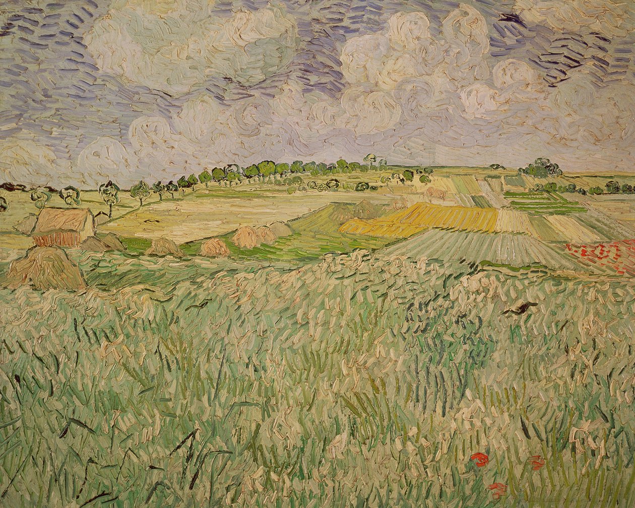 Az auversi síkság, 1890 alkotó: Vincent van Gogh