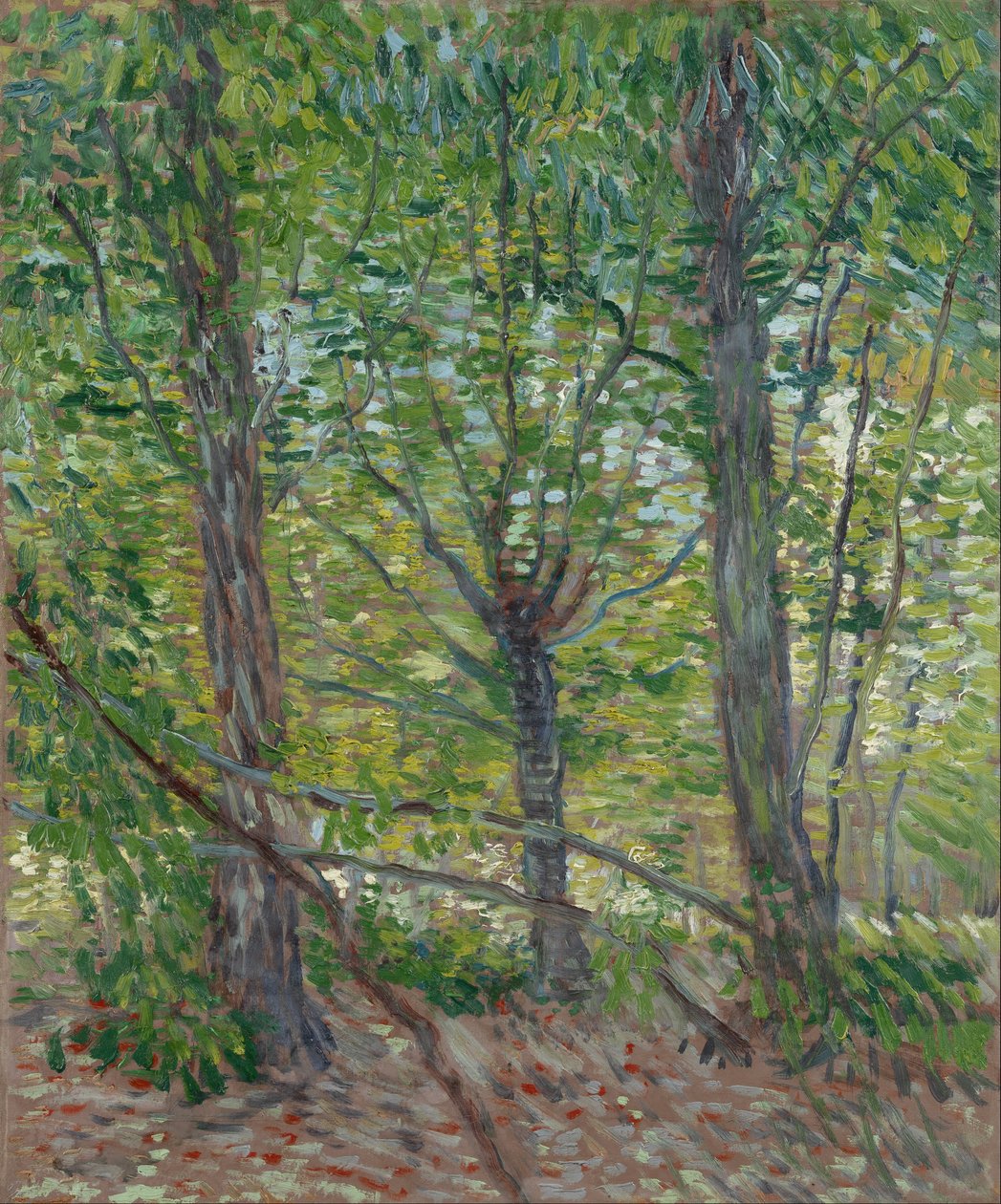 Fák alkotó: Vincent van Gogh