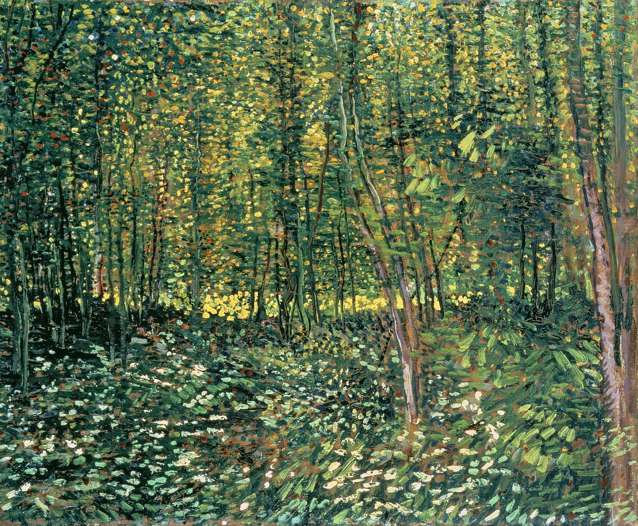 Fák és aljnövényzet, 1887 alkotó: Vincent van Gogh