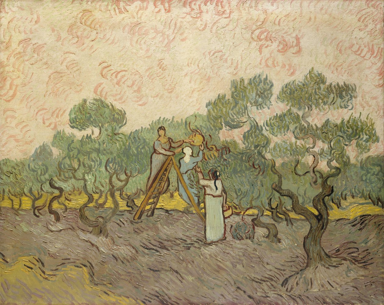 Nők olajbogyót szednek alkotó: Vincent van Gogh