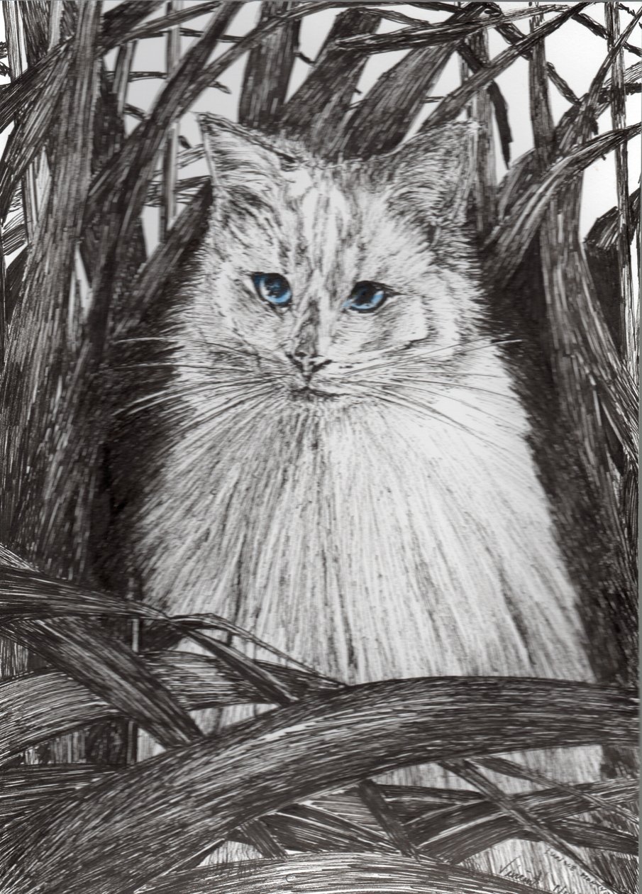 Jungle Monty, 2015, (tinta papíron) alkotó: Vincent Alexander Booth