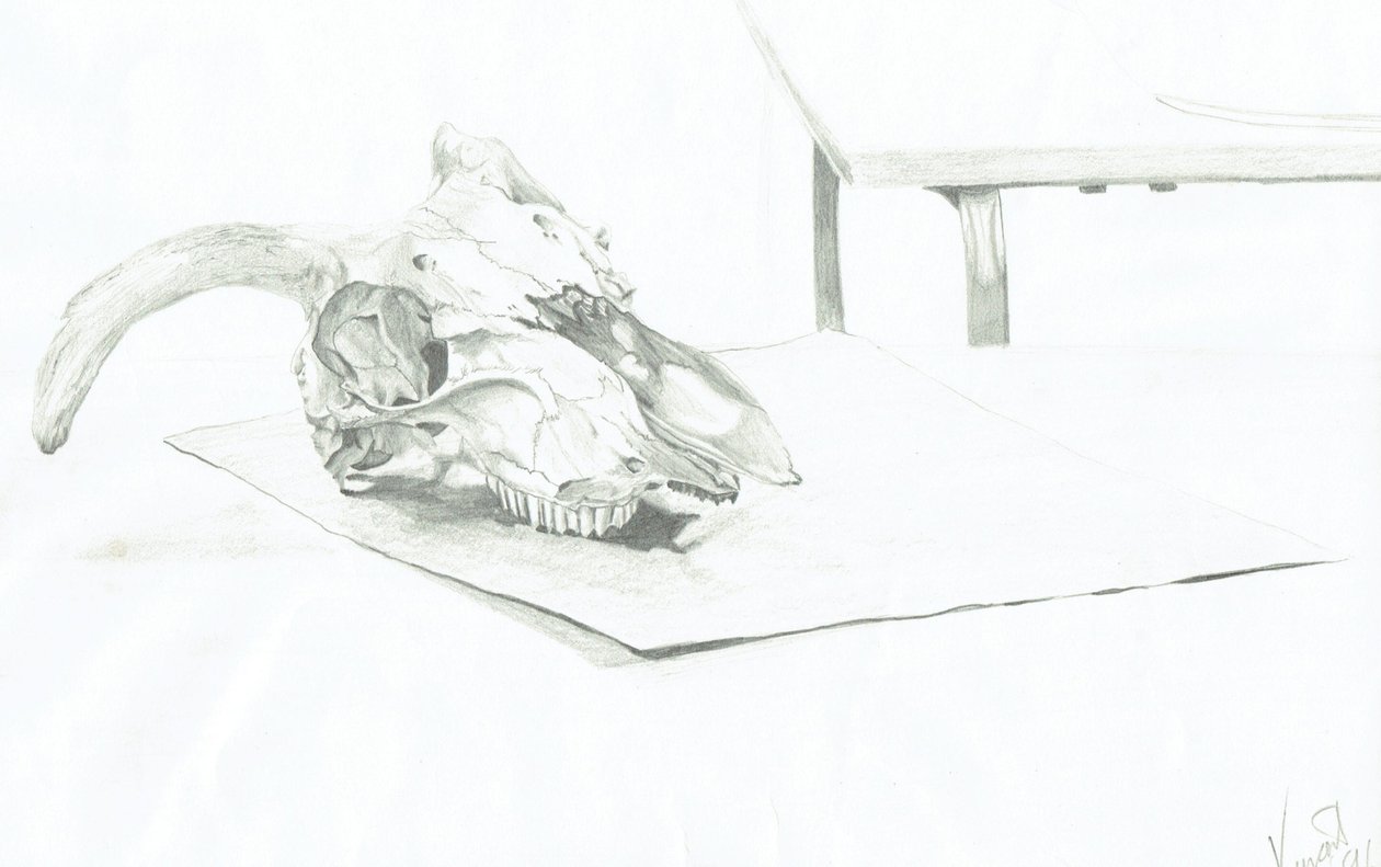 Koponya alkotó: Vincent Alexander Booth