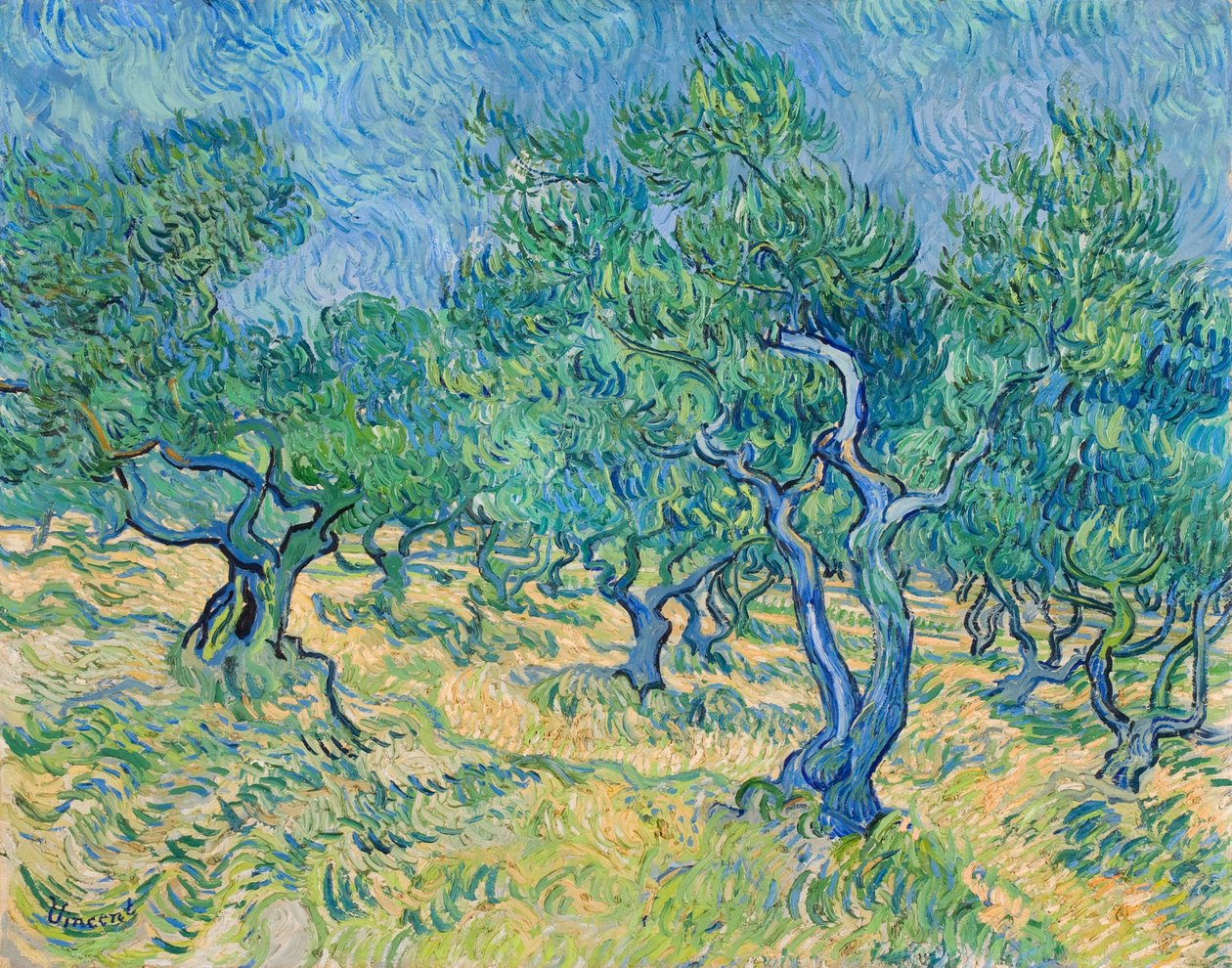 Olajfaliget, 1889. alkotó: Vincent van Gogh