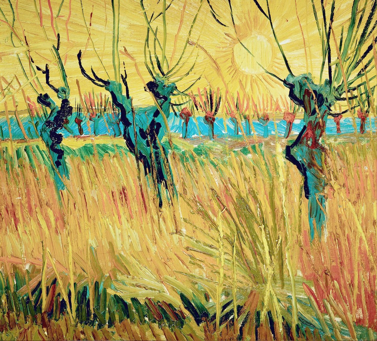 Fűzfa napnyugtakor, 1888. alkotó: Vincent van Gogh
