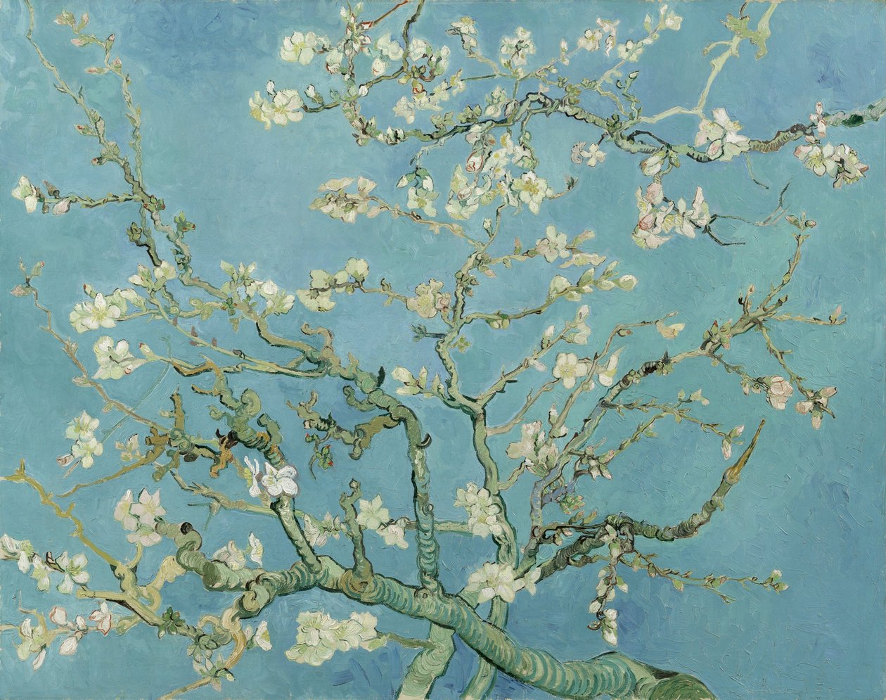 Mandulavirág alkotó: Vincent van Gogh