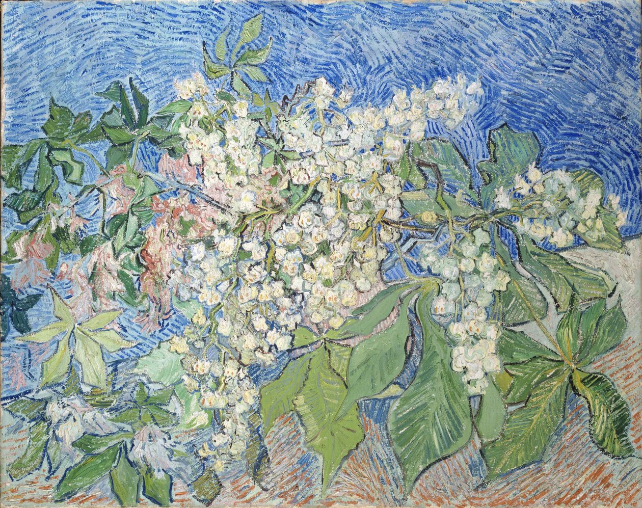 Virágzó gesztenyefák ágai, 1890. alkotó: Vincent van Gogh