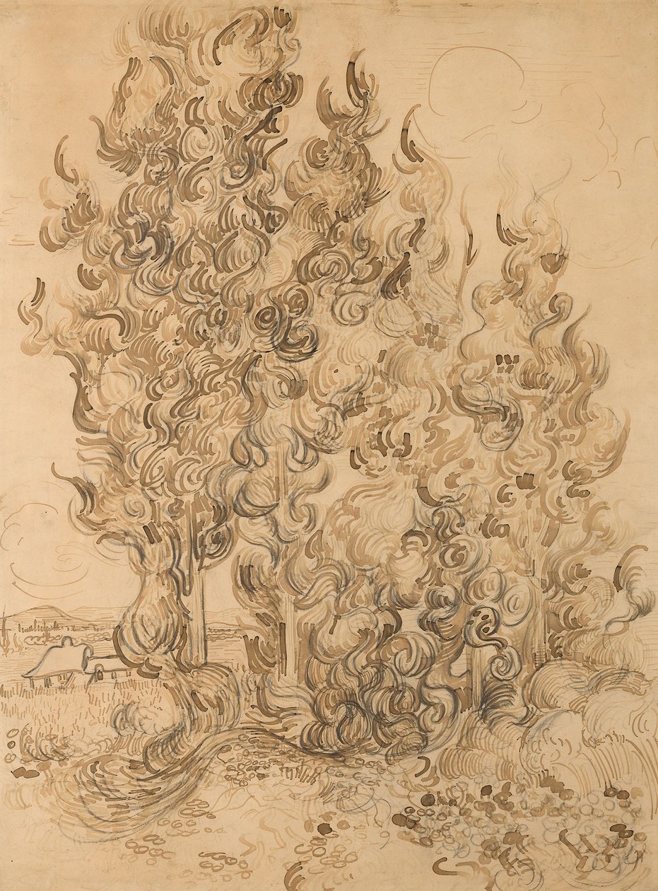 Ciprusok alkotó: Vincent van Gogh