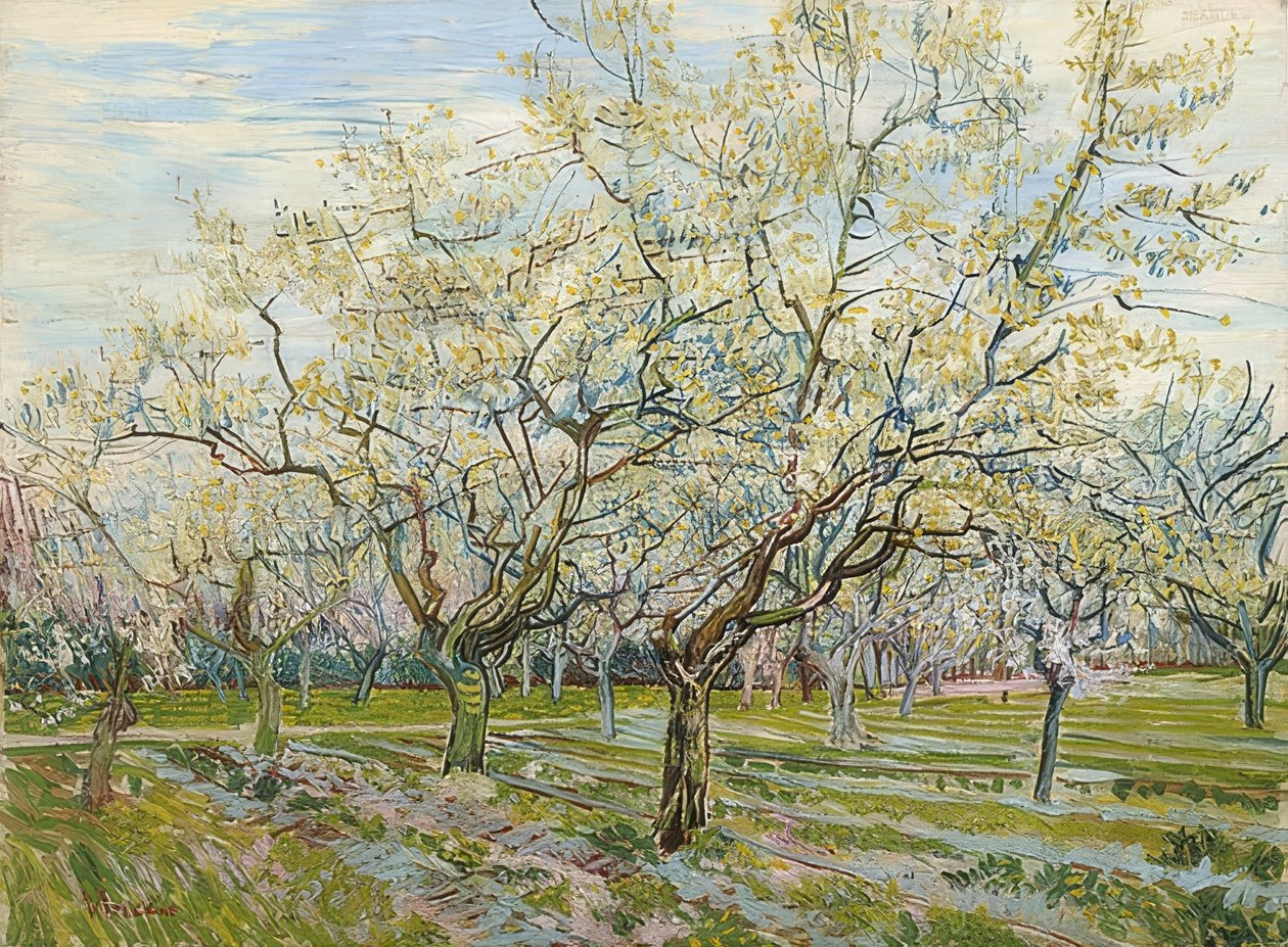 A fehér gyümölcsös. 1888 alkotó: Vincent van Gogh