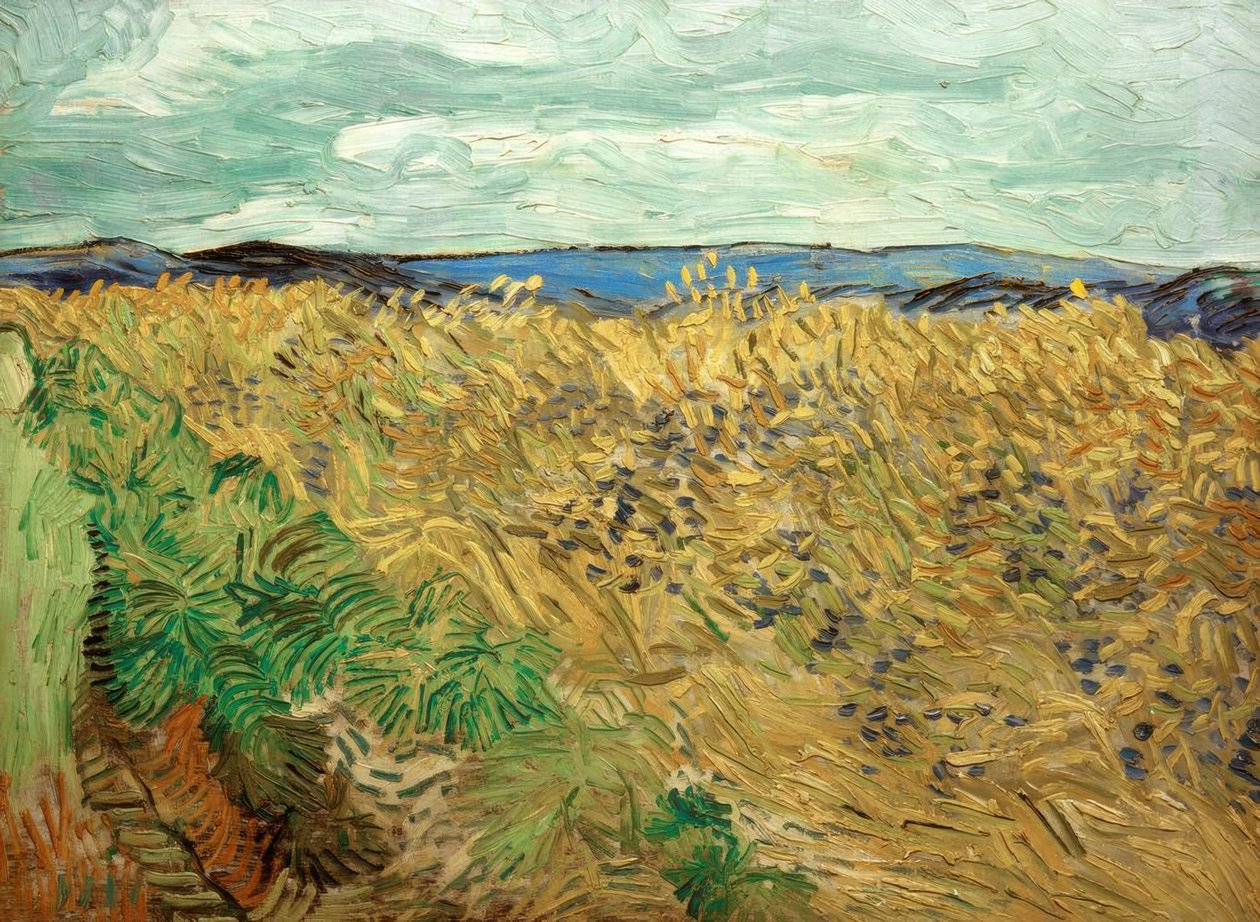Mező búzavirággal alkotó: Vincent van Gogh