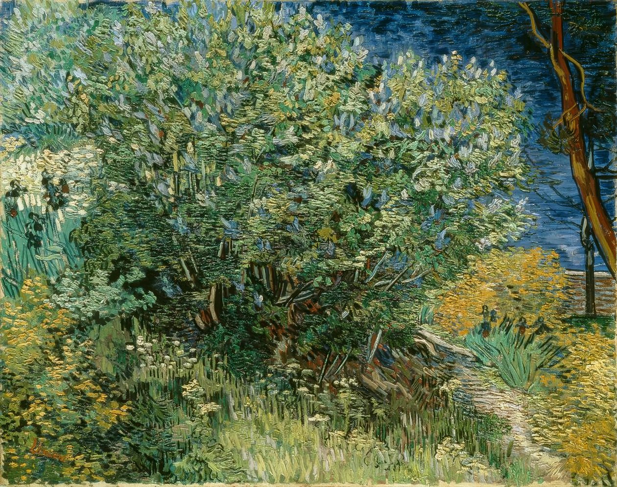 Orgonabokor alkotó: Vincent van Gogh