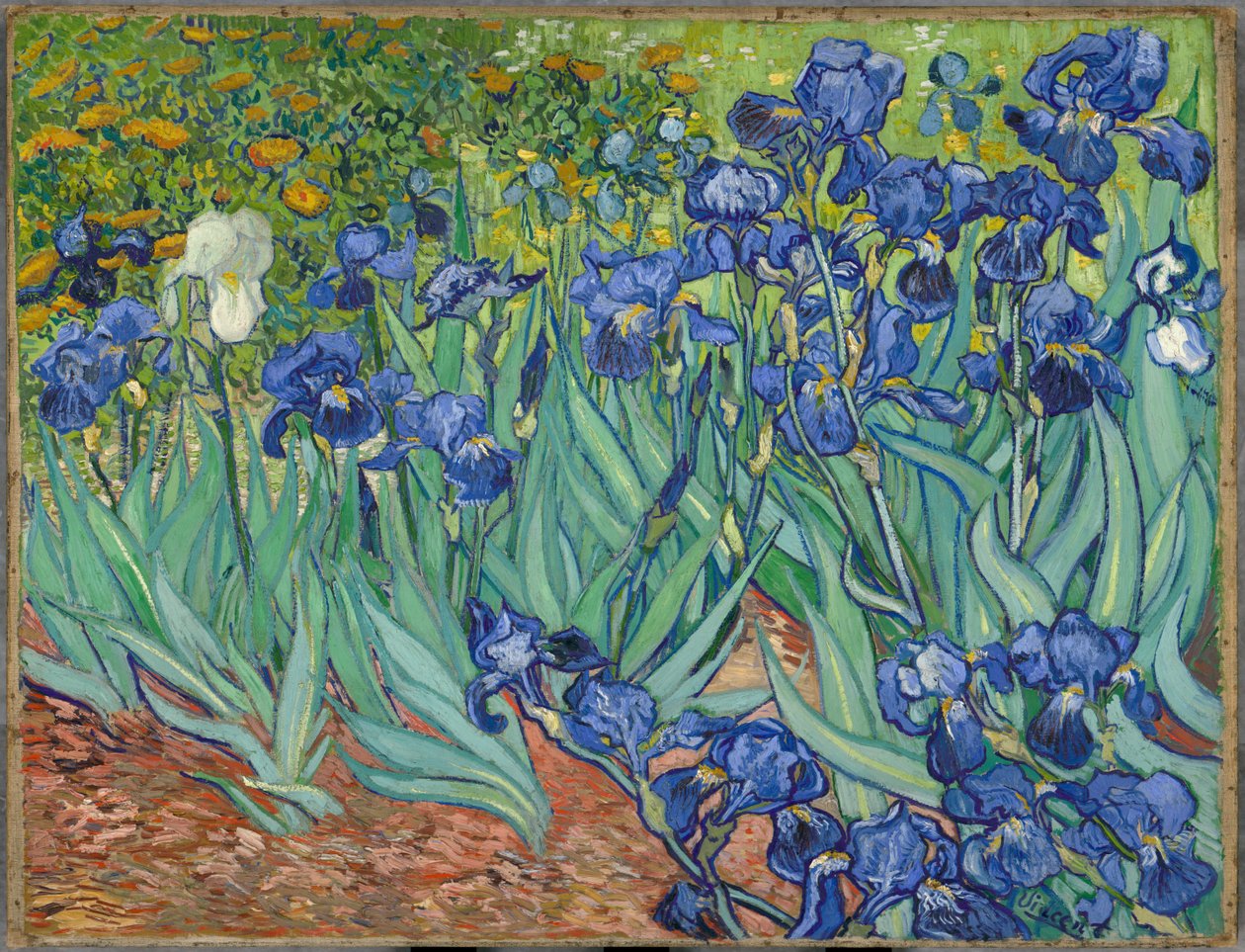 Íriszek alkotó: Vincent van Gogh