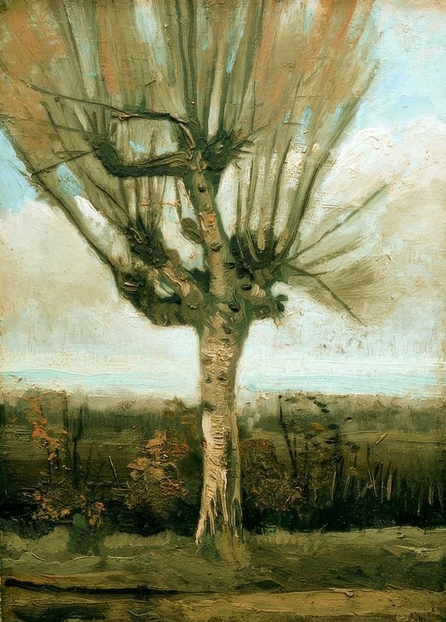 Pollared fűz alkotó: Vincent van Gogh