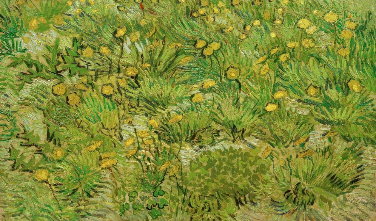 Gyermekláncfű alkotó: Vincent van Gogh