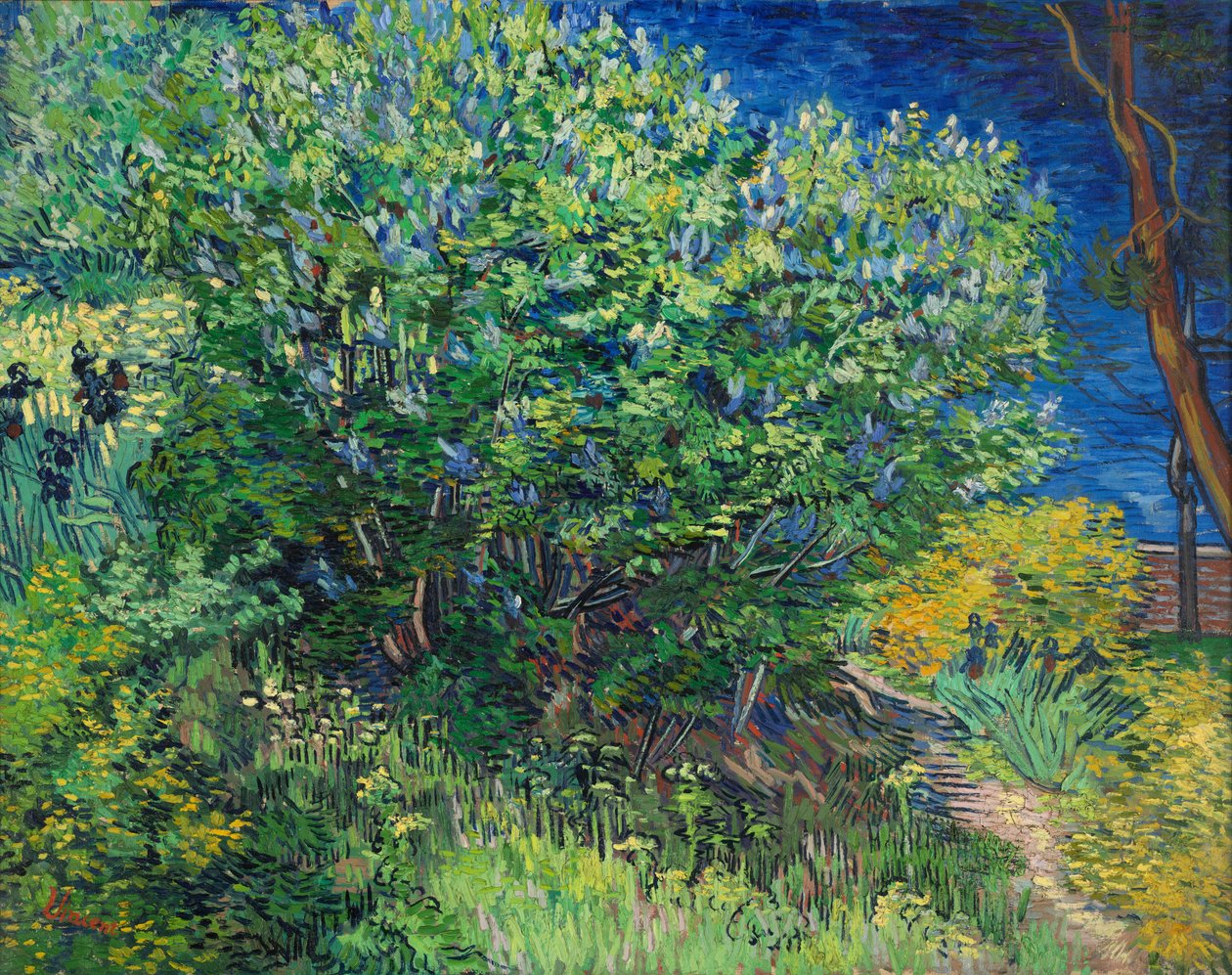 Orgona alkotó: Vincent van Gogh