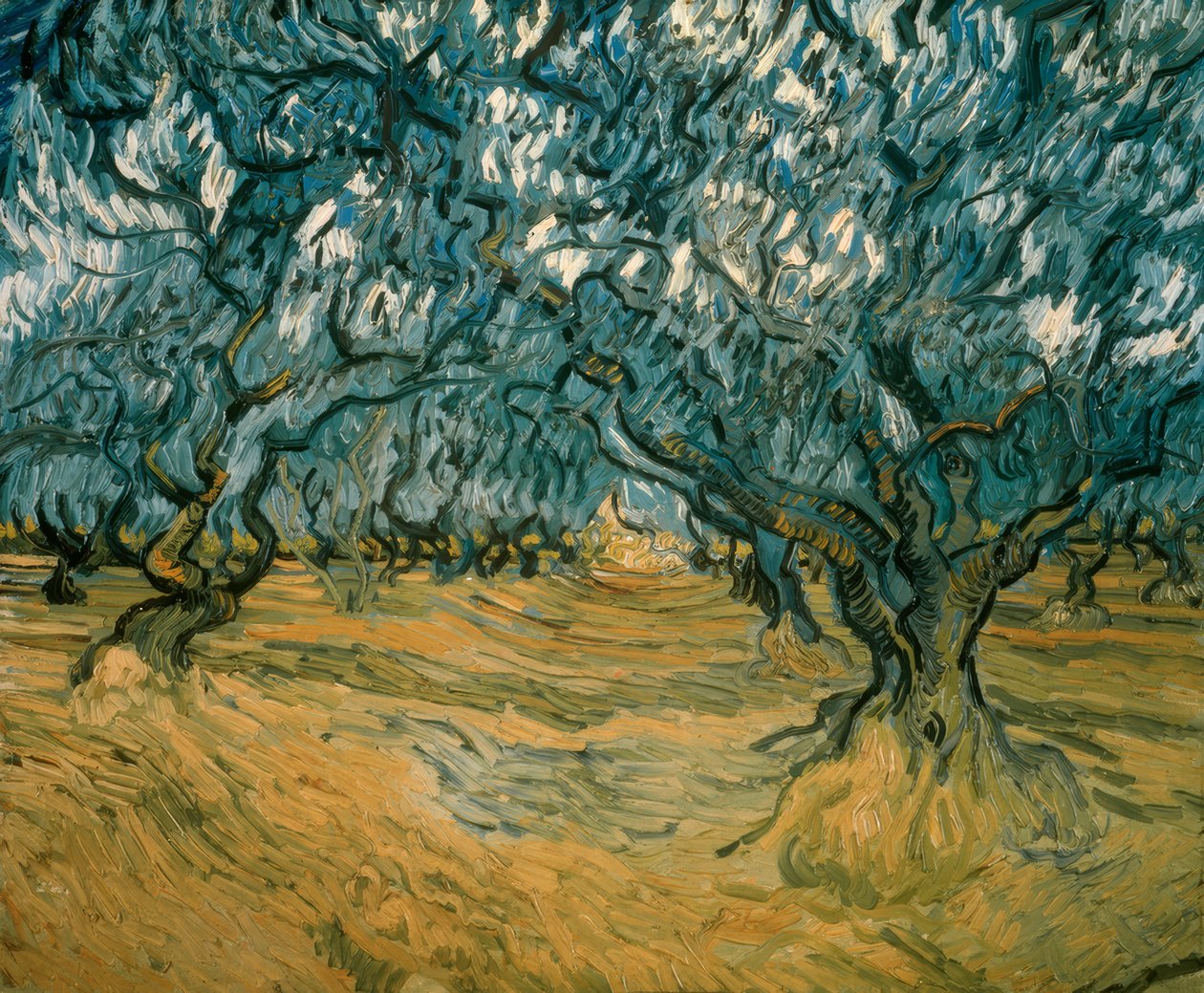 Olajfák alkotó: Vincent van Gogh