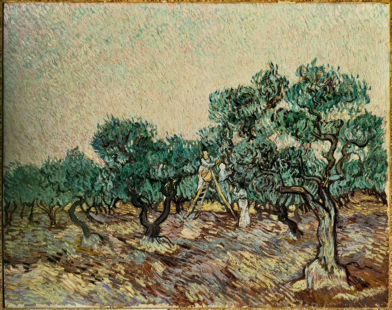 Olajbogyó szedők alkotó: Vincent van Gogh