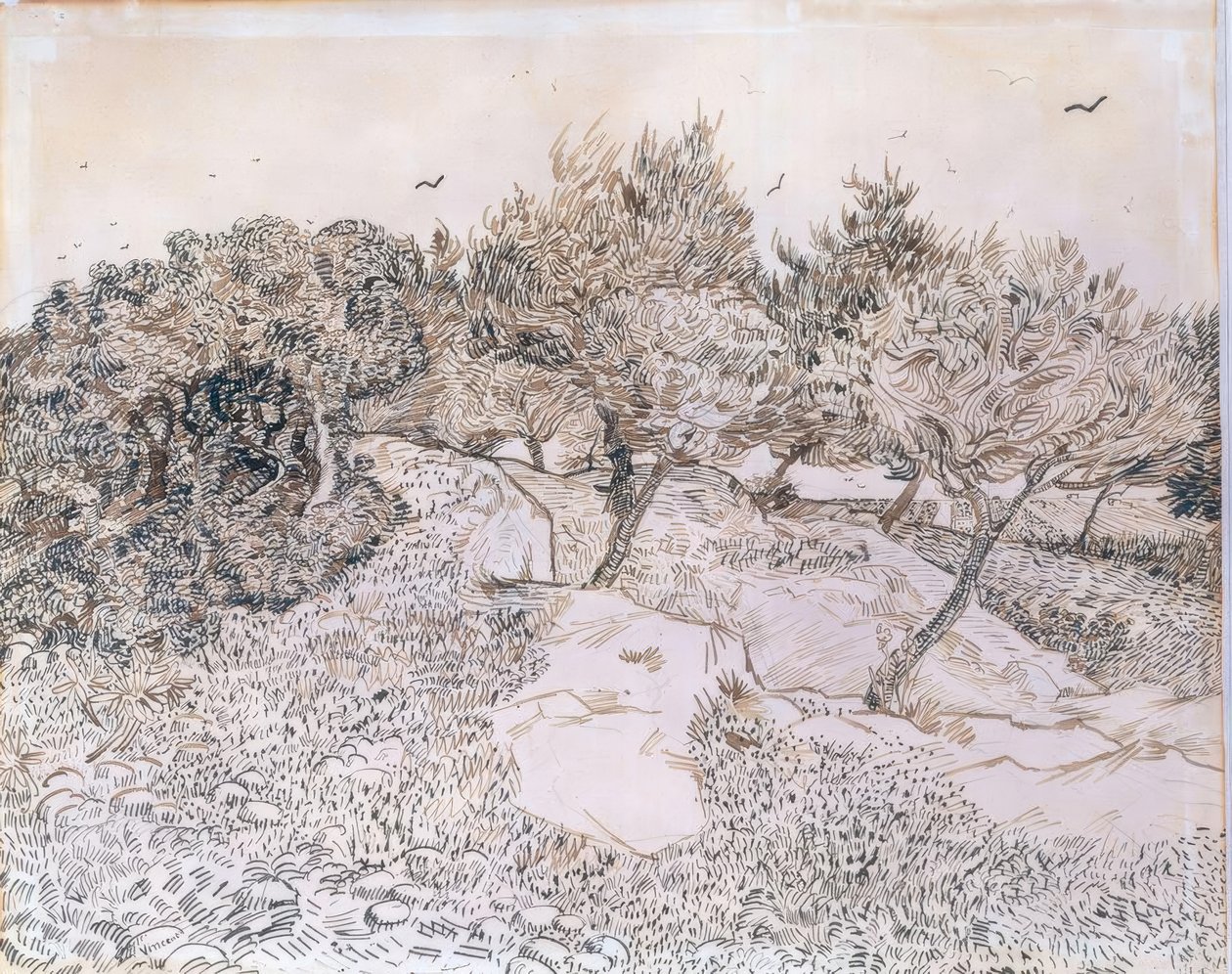 Olajfák Montmajourban alkotó: Vincent van Gogh