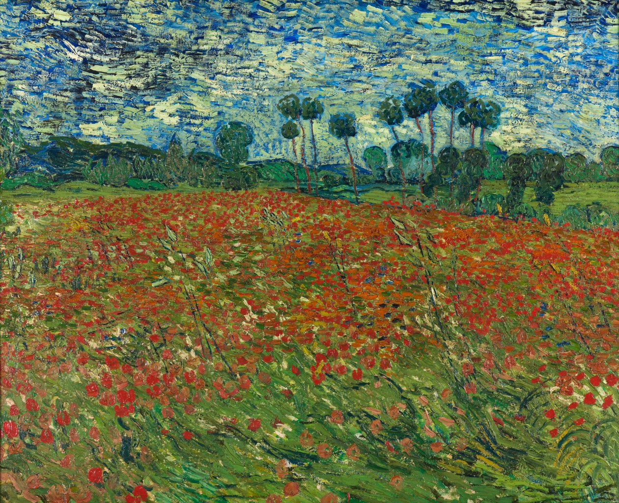 Mák mező alkotó: Vincent van Gogh