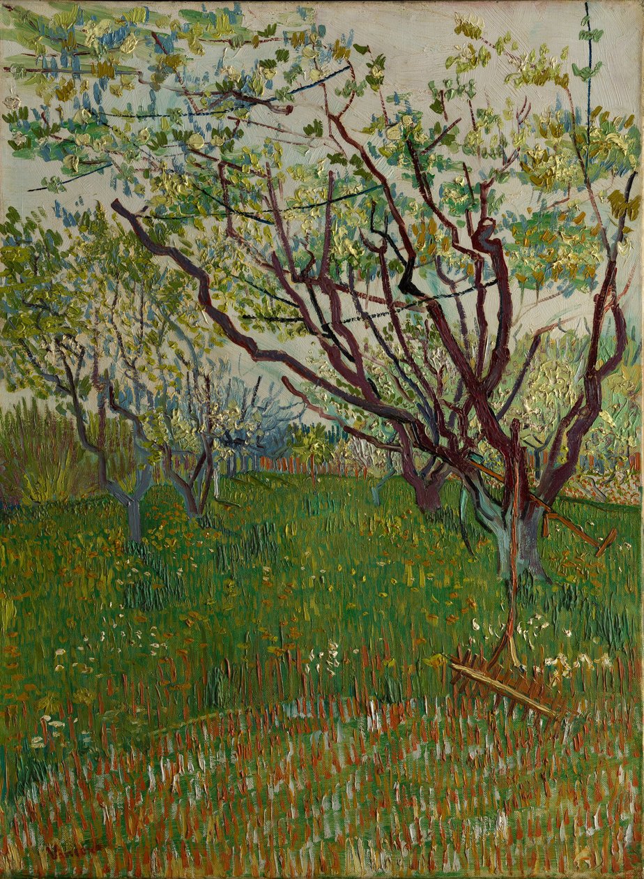 A virágos gyümölcsöskert, 1888. alkotó: Vincent van Gogh