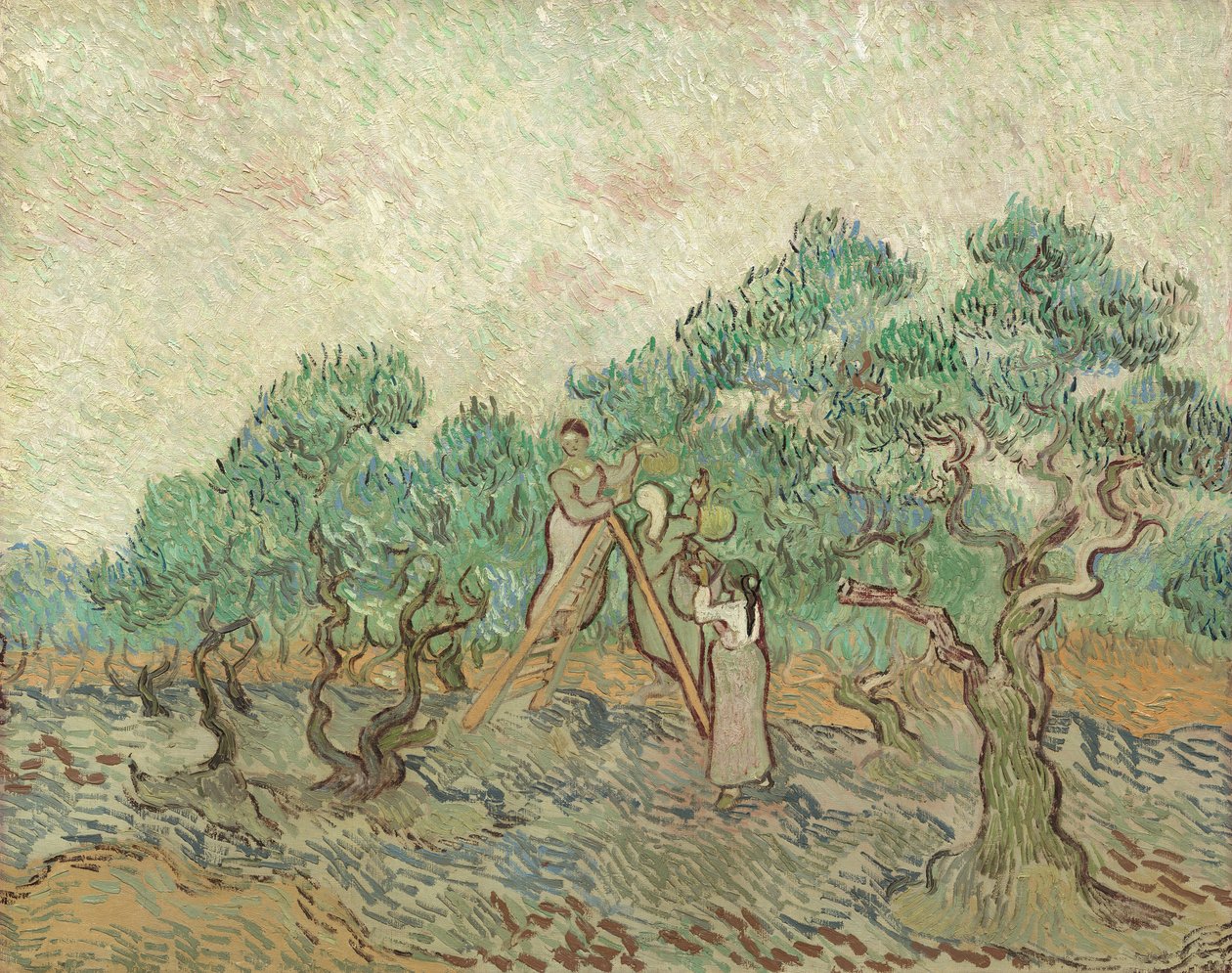 Az Olajfakert, 1889 alkotó: Vincent van Gogh