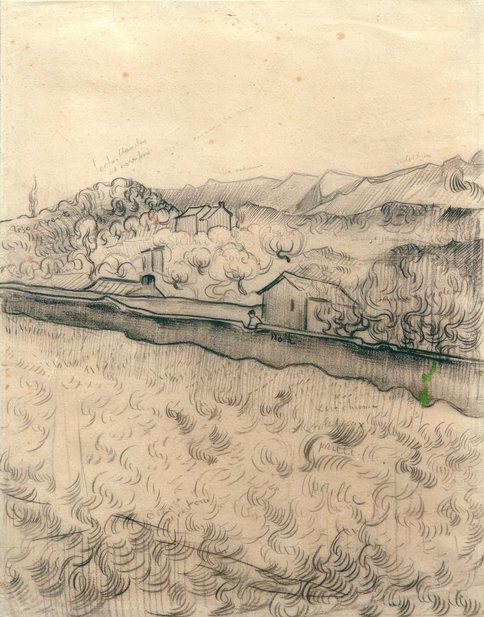 Falazott mező alkotó: Vincent van Gogh