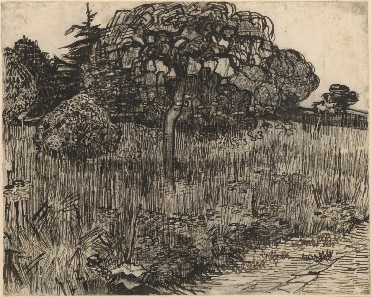 Könnyező fa alkotó: Vincent van Gogh