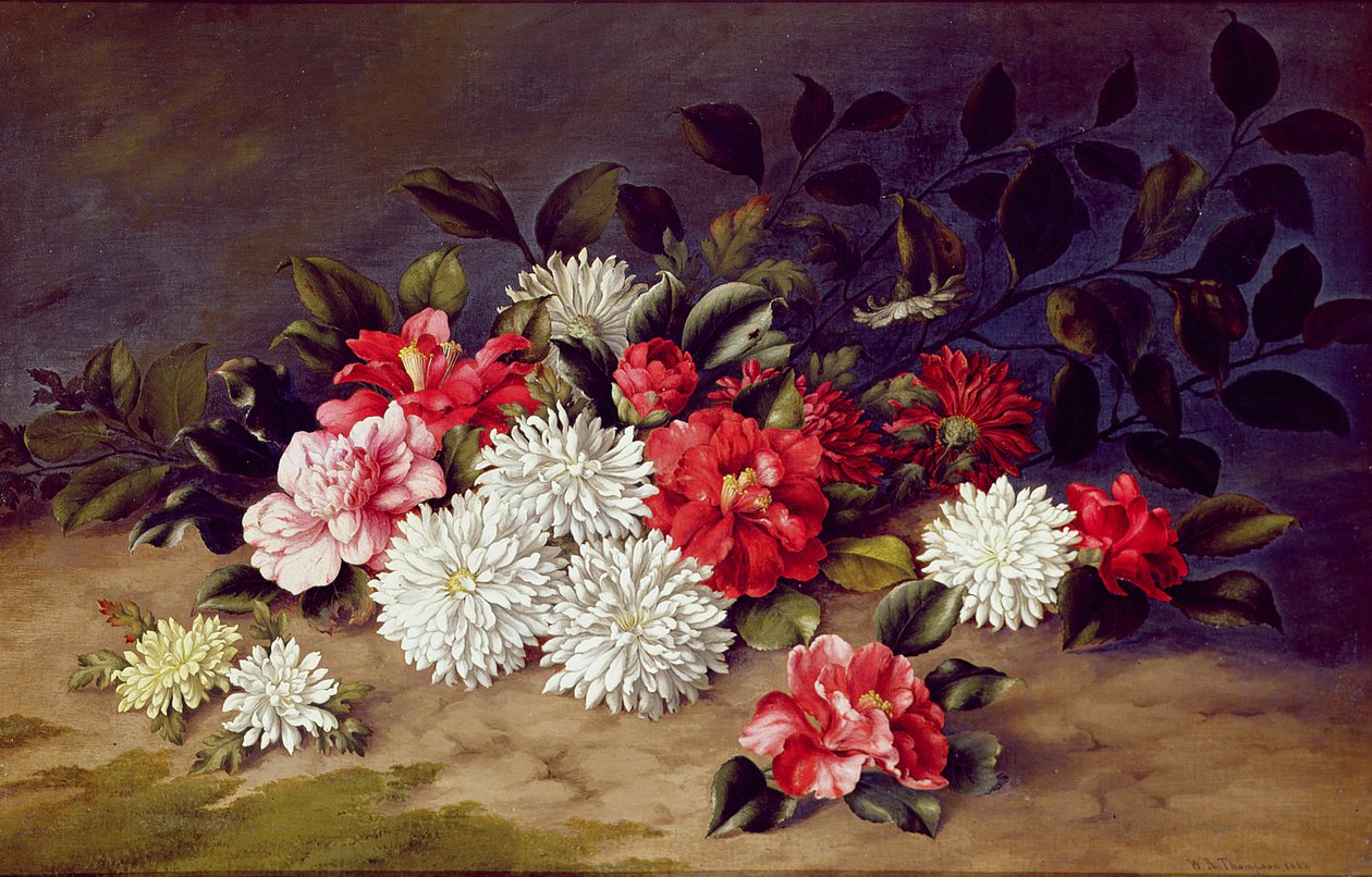 Krizantémok és kaméliák csendélete, 1883 alkotó: W. R. Thompson