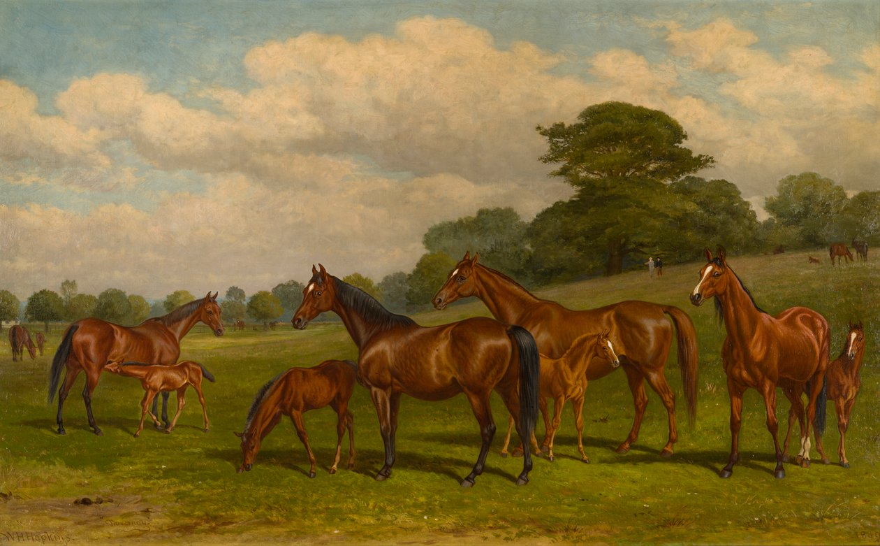 Kancák és csikók, 1892 körül (olaj, vászon) alkotó: W.H. Hopkins