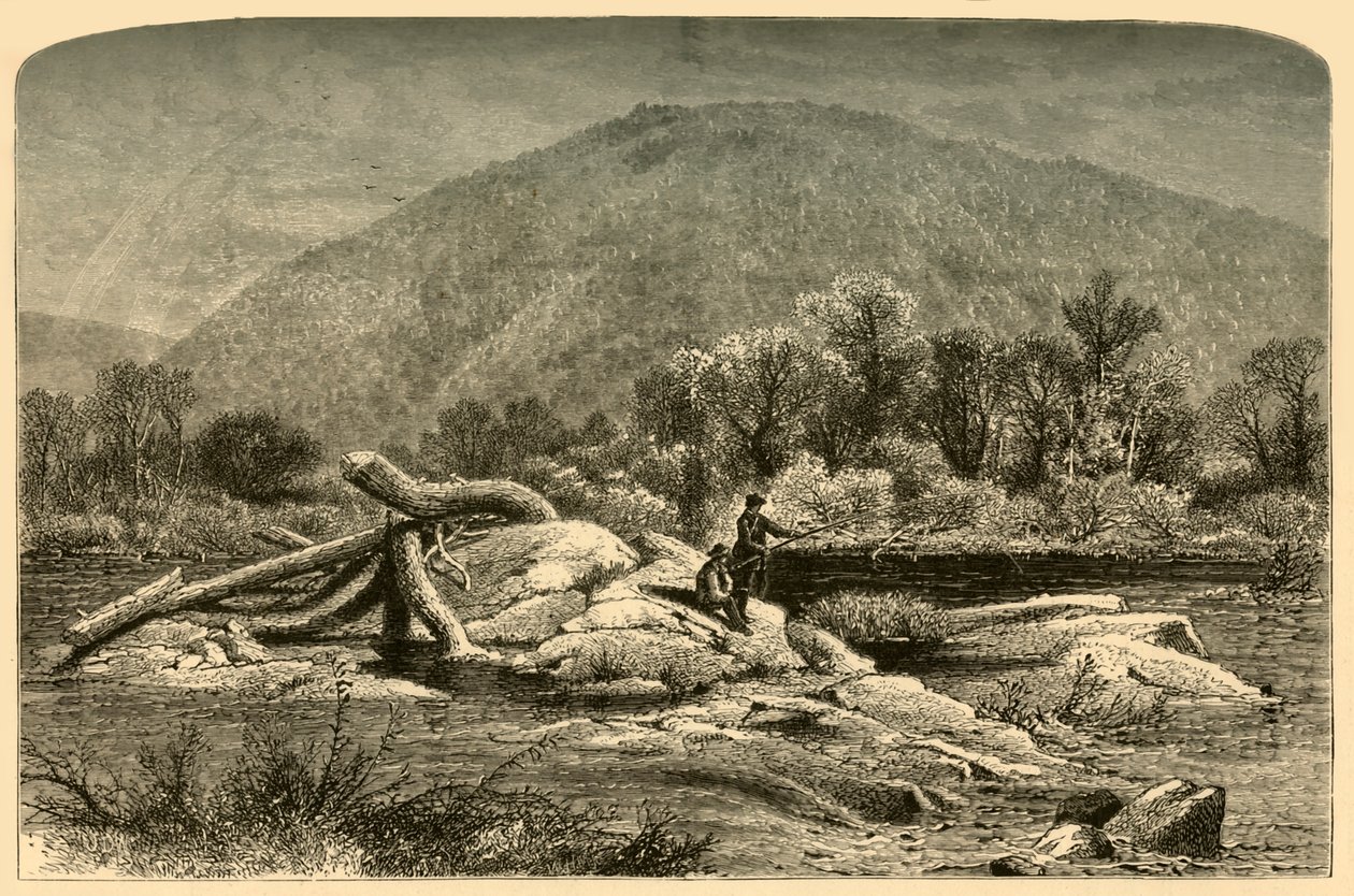 "Mount Chesterfield", 1874. alkotó: W.H. Morse