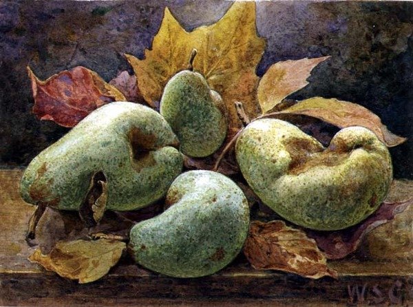 Páratlan és páros (Körte) alkotó: W.S. Goodwin