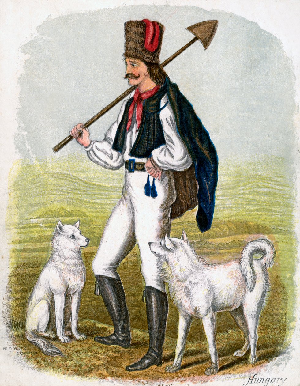 Magyar ember kutyákkal, 1809. alkotó: W. Dickes