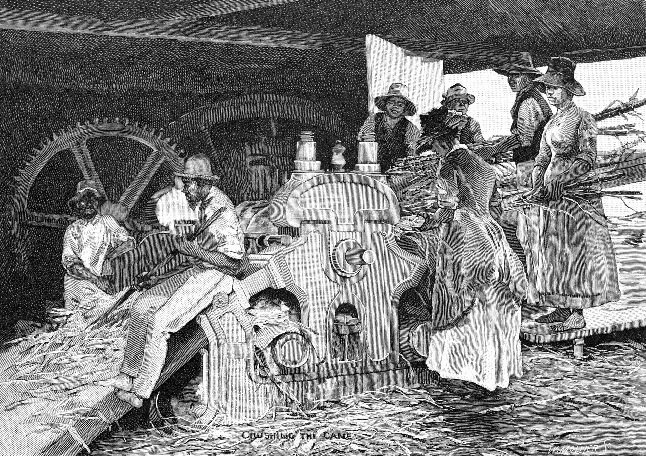 A bot összezúzása, 1886. alkotó: W. Mollier