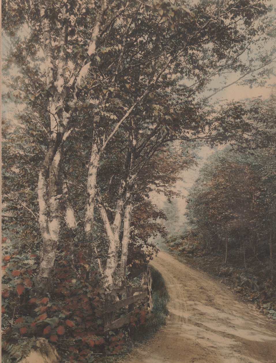 Westmore Drive alkotó: Wallace Nutting