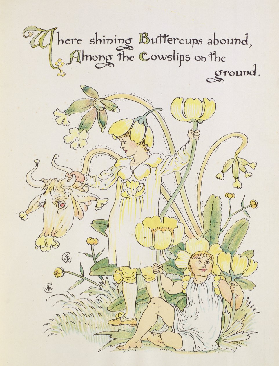 A boglárka és a tehénsír a „Flora lakomájából” alkotó: Walter Crane